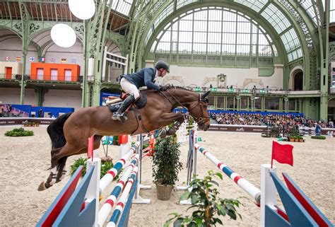 saut d hermes 2017|Le Saut Hermès au Grand Palais 2017 .